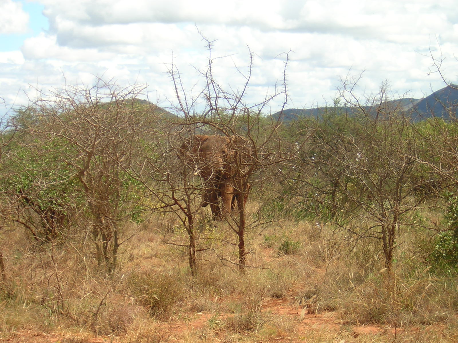 ./2006-06-2x-Kenya/DSCN1143.JPG