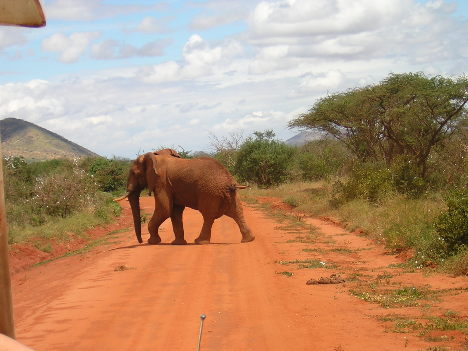 ./2006-06-2x-Kenya/DSCN1149.JPG