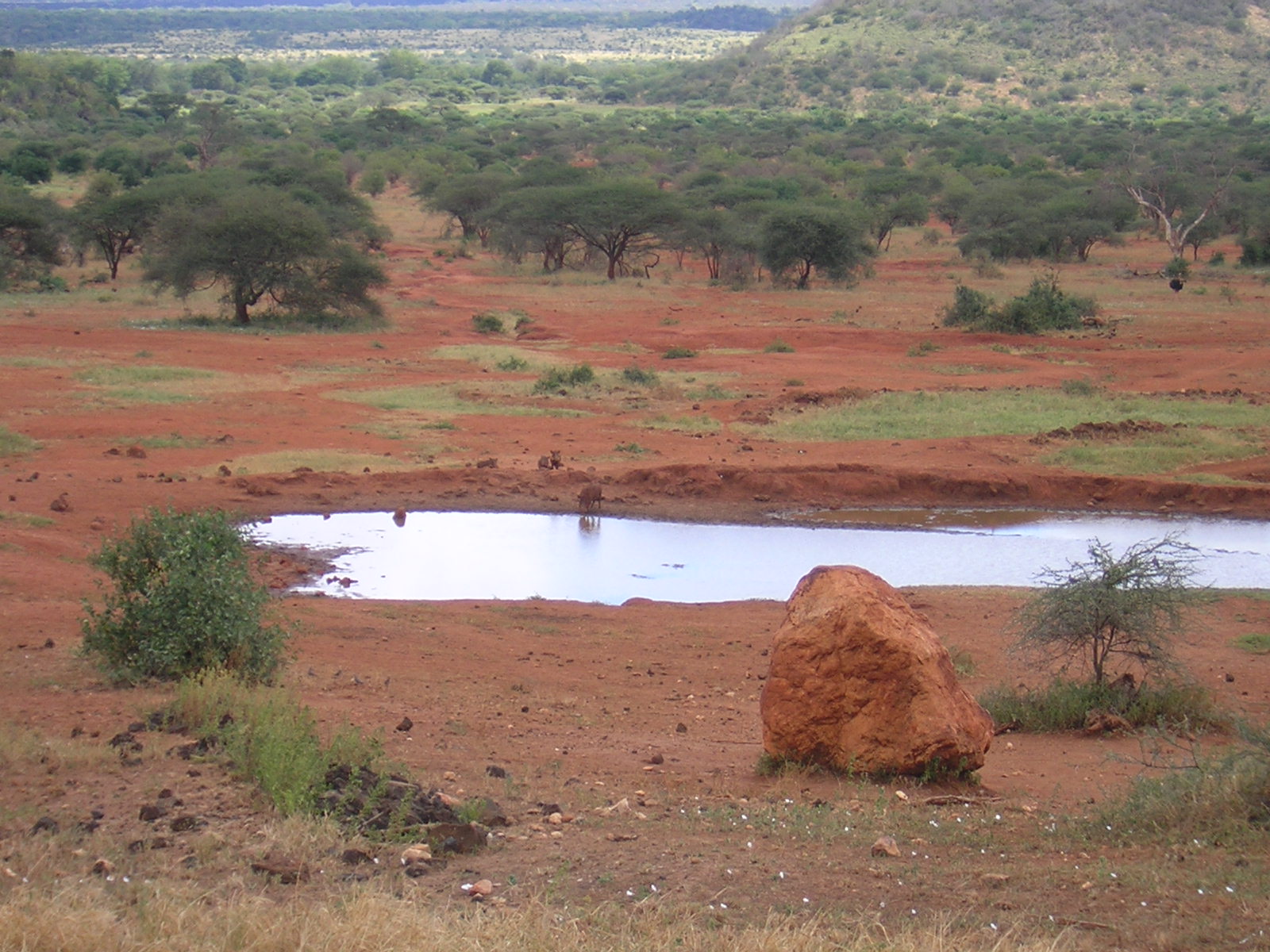 ./2006-06-2x-Kenya/DSCN1156.JPG