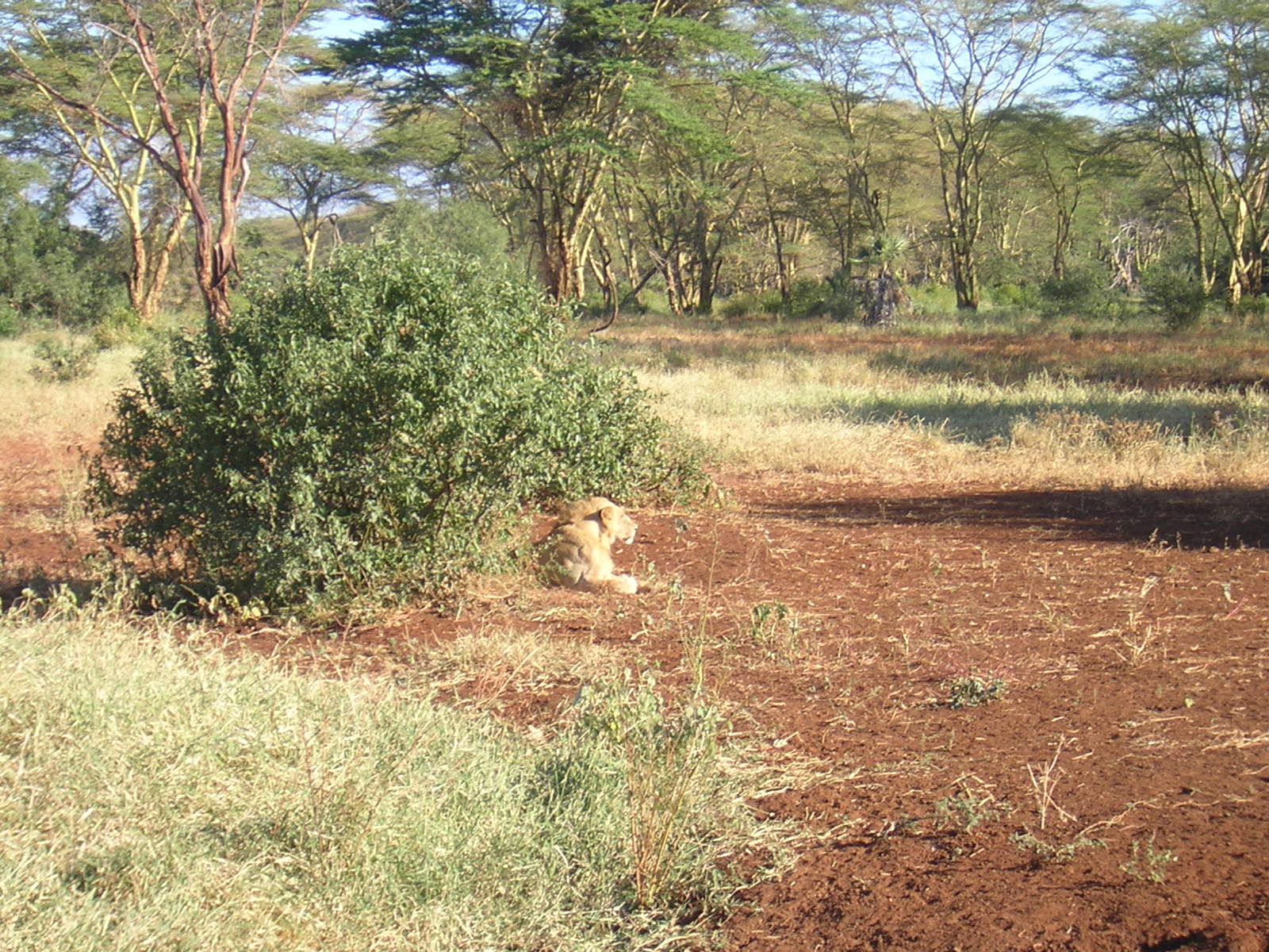 ./2006-06-2x-Kenya/DSCN1248.JPG