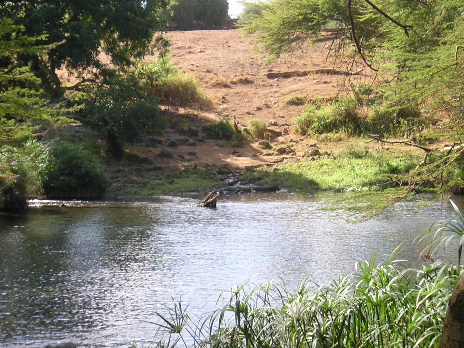 ./2006-06-2x-Kenya/DSCN1276.JPG