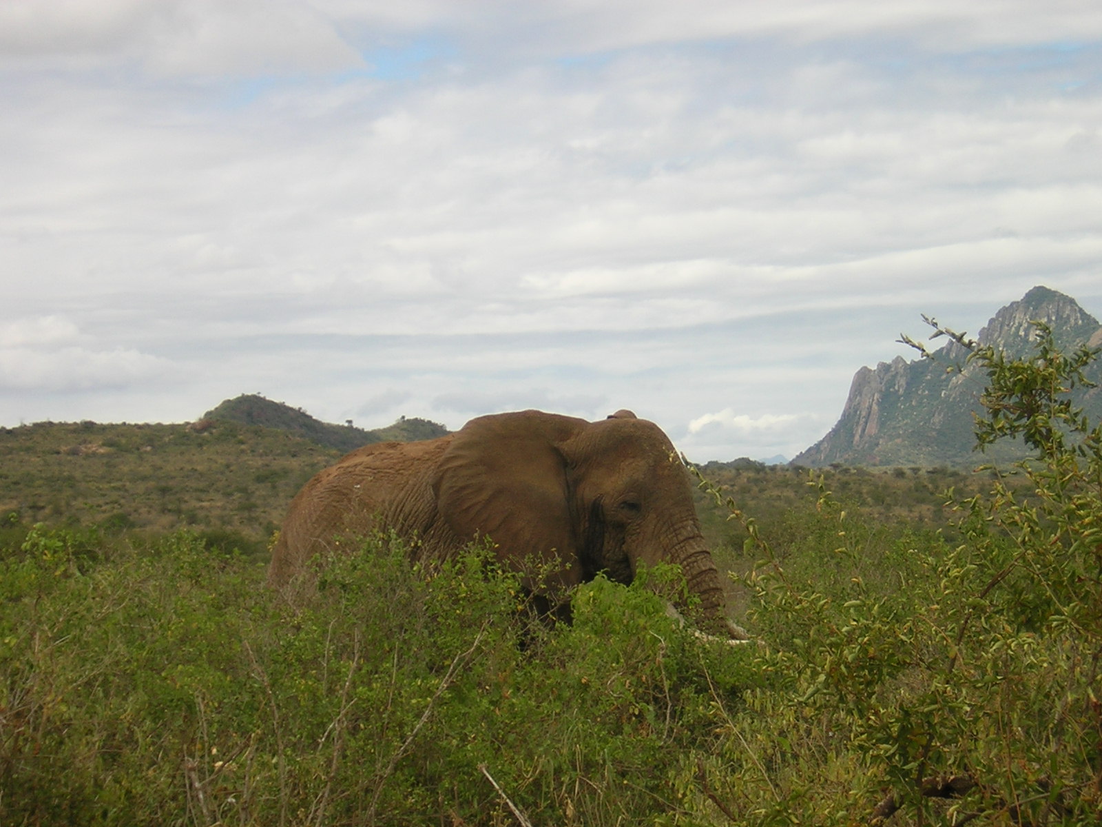 ./2006-06-2x-Kenya/DSCN1304.JPG