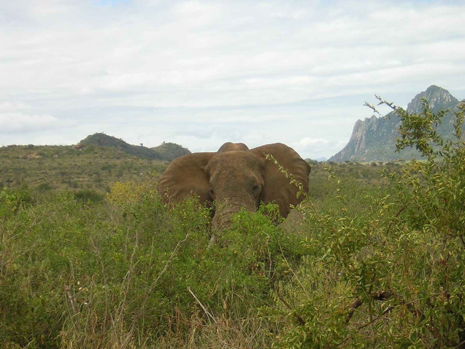 ./2006-06-2x-Kenya/DSCN1306.JPG