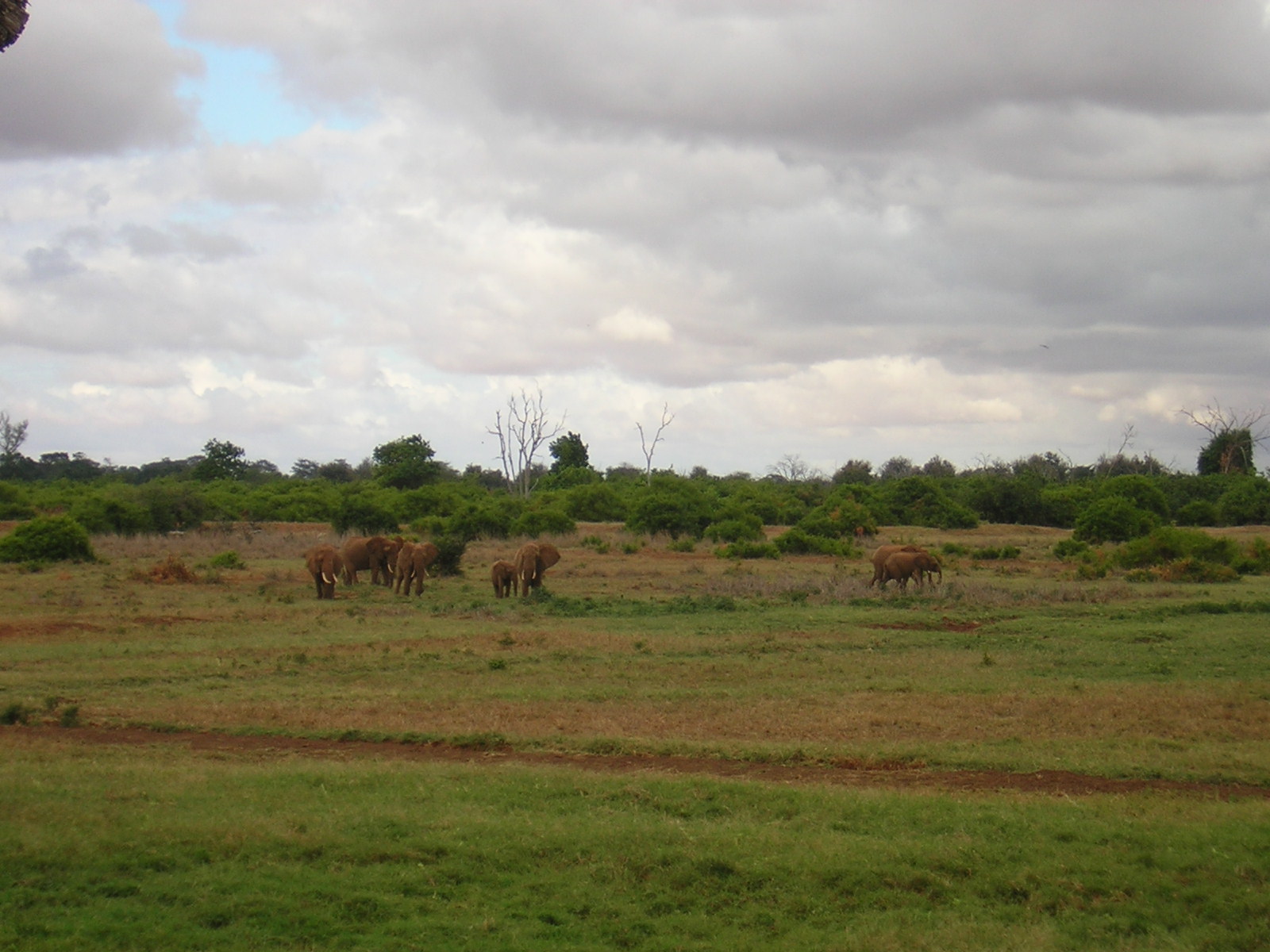 ./2006-06-2x-Kenya/DSCN1309.JPG