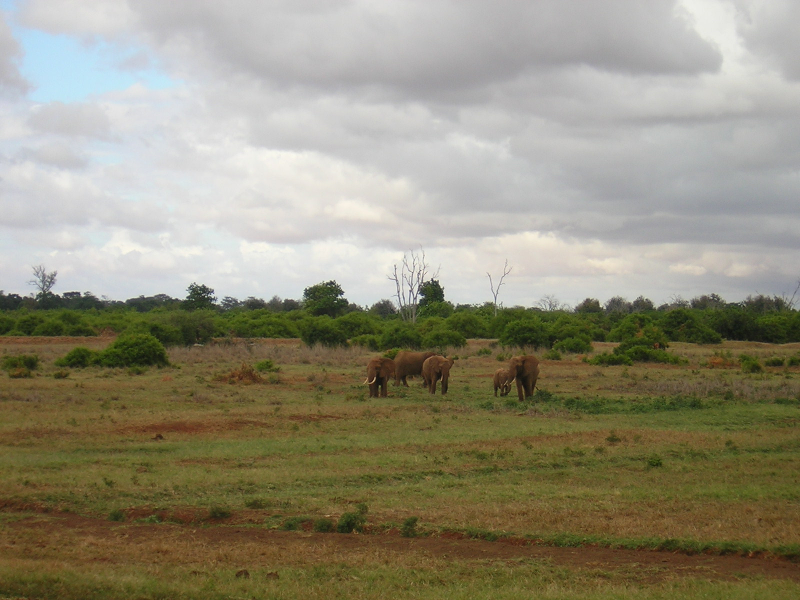 ./2006-06-2x-Kenya/DSCN1311.JPG