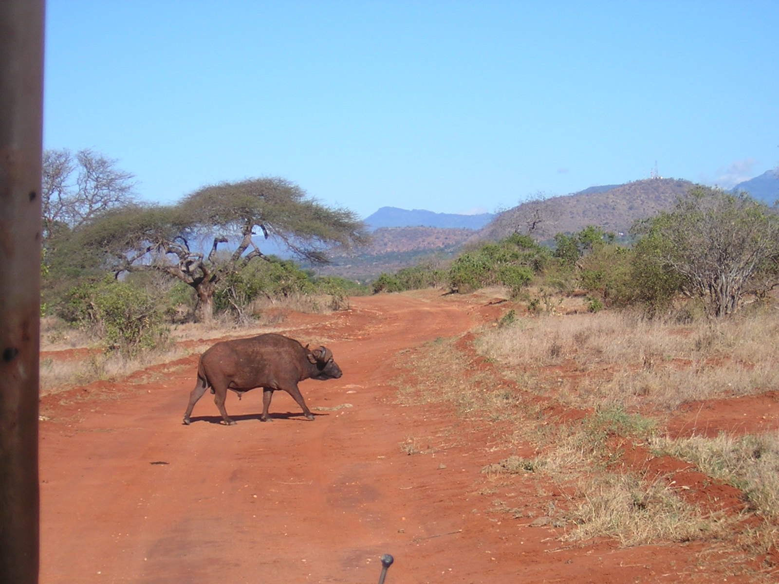 ./2006-06-2x-Kenya/DSCN1329.JPG