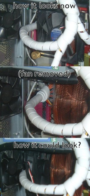 ./modding/flower-fan.jpg